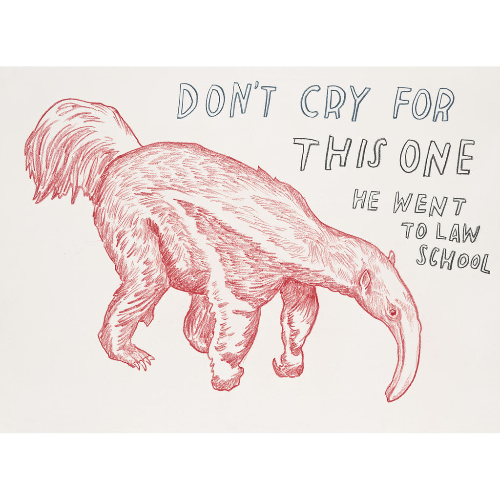 "Don't Cry For This One, He Went to Law School" Silkscreen by Dave Eggers