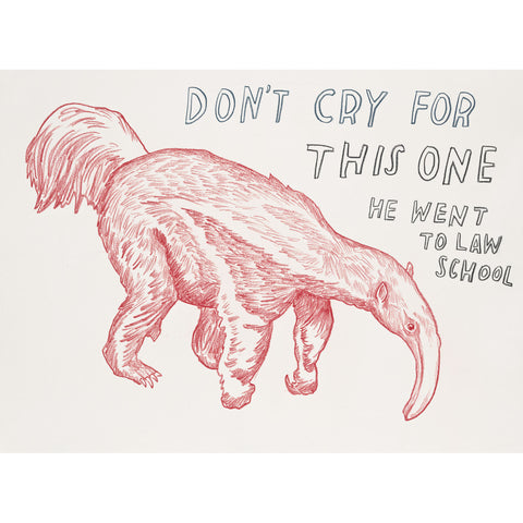 "Don't Cry For This One, He Went to Law School" Silkscreen by Dave Eggers